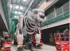 大连熊洞街.冰熊北北.png 大连熊洞街.冰熊北北.png