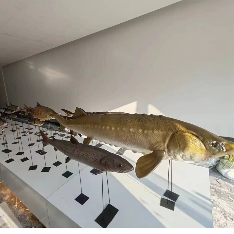 3D打印-博物院仿生标本